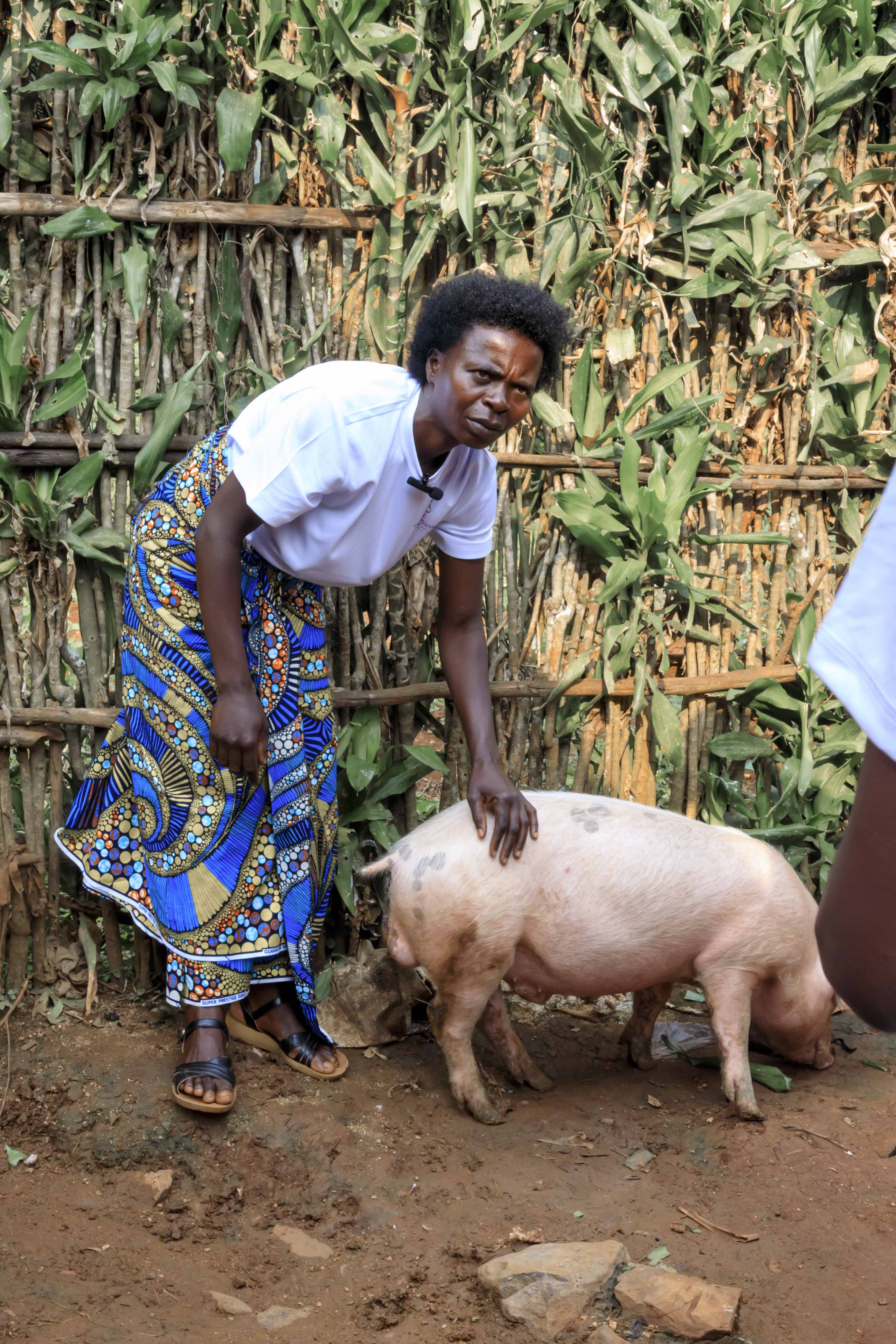 Financial Independence & Literacy