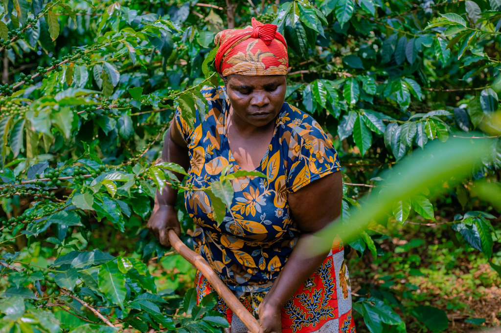 From Despair to Hope: Fausta's a.k.a "Nyabade" Story