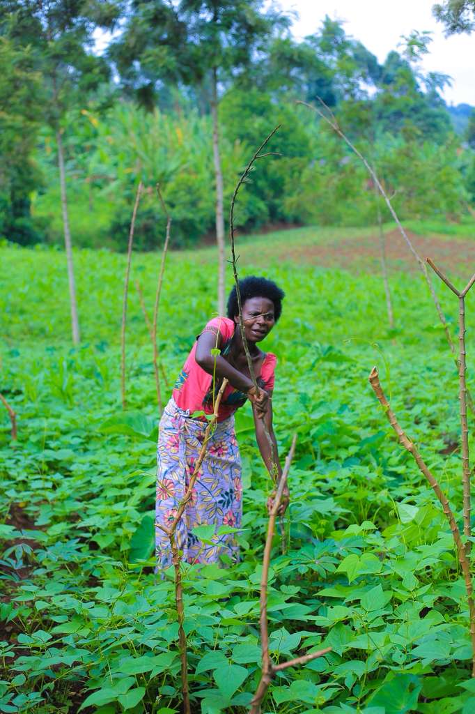 From Fear to Security: Theodosia's Journey - Image 6